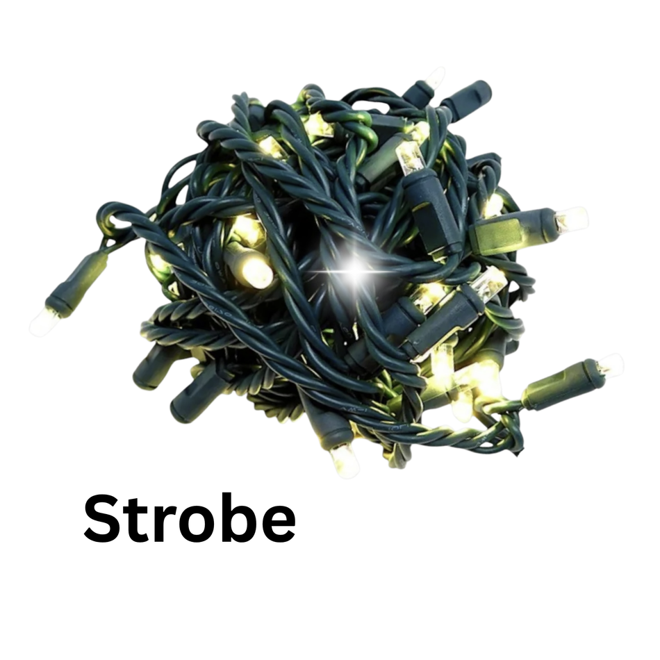 COAXIAL: 50L Concave LED Mini Christmas Lights - STROBE