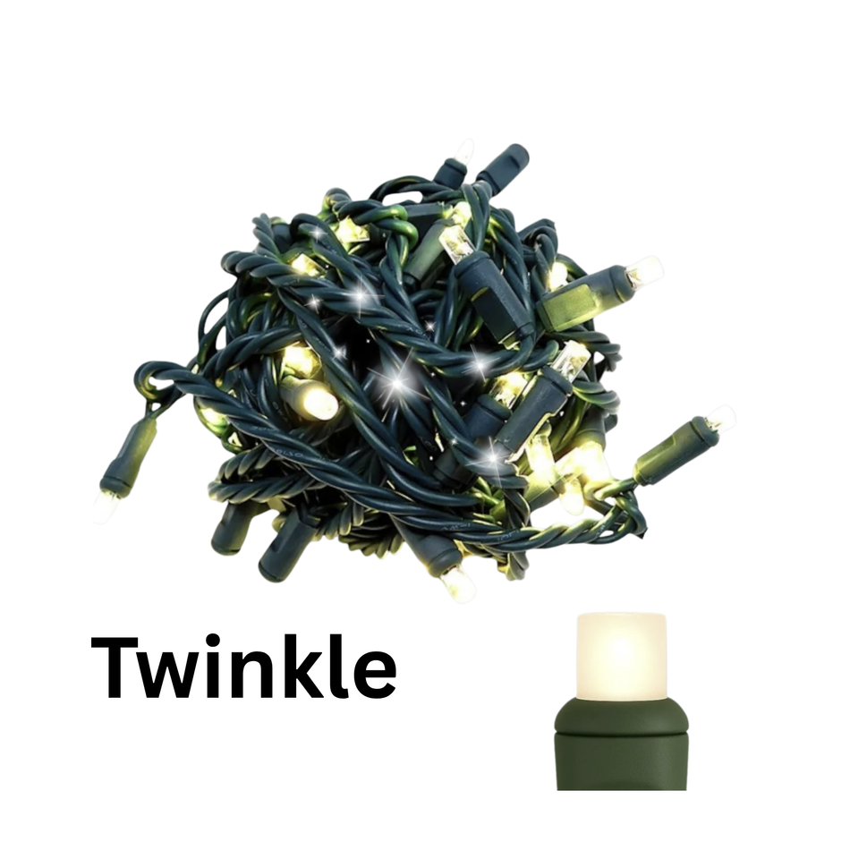 COAXIAL: 50L Concave LED Mini Christmas Lights - TWINKLE